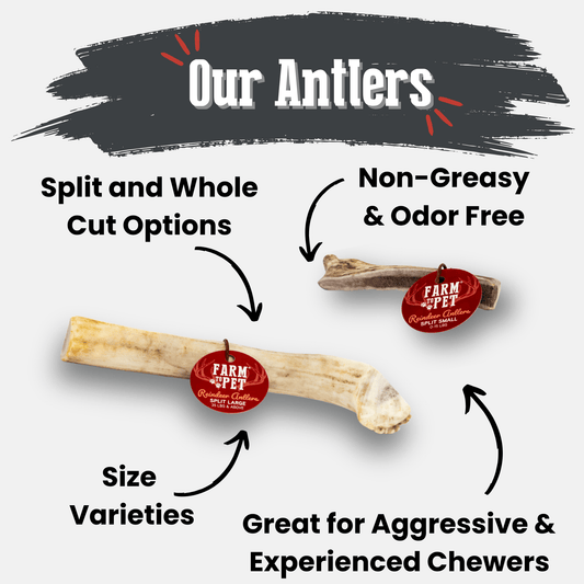 Farm To Pet organic reindeer antler dog chew with natural, splinter-free design for durable, healthy dog chewing.