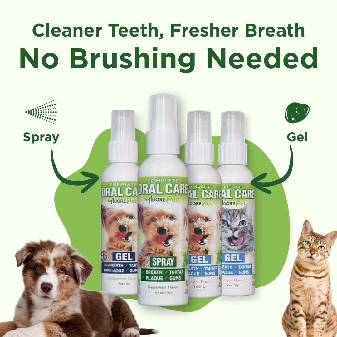 Adore Pet oral care spray bottle for freshening pet's breath and promoting dental health.