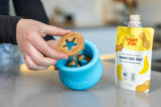 West Paw Toppl Fill & Fit Treats