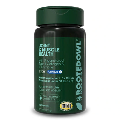 Rooted Owl Pet Supplements joint and muscle health supplement for cats and small dogs, showing the product container and label.