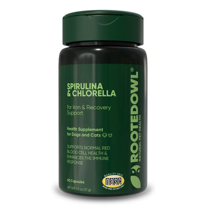 Spirulina and chlorella supplement for cats and dogs by Rooted Owl Pet Supplements, showing vibrant green powder in a jar.