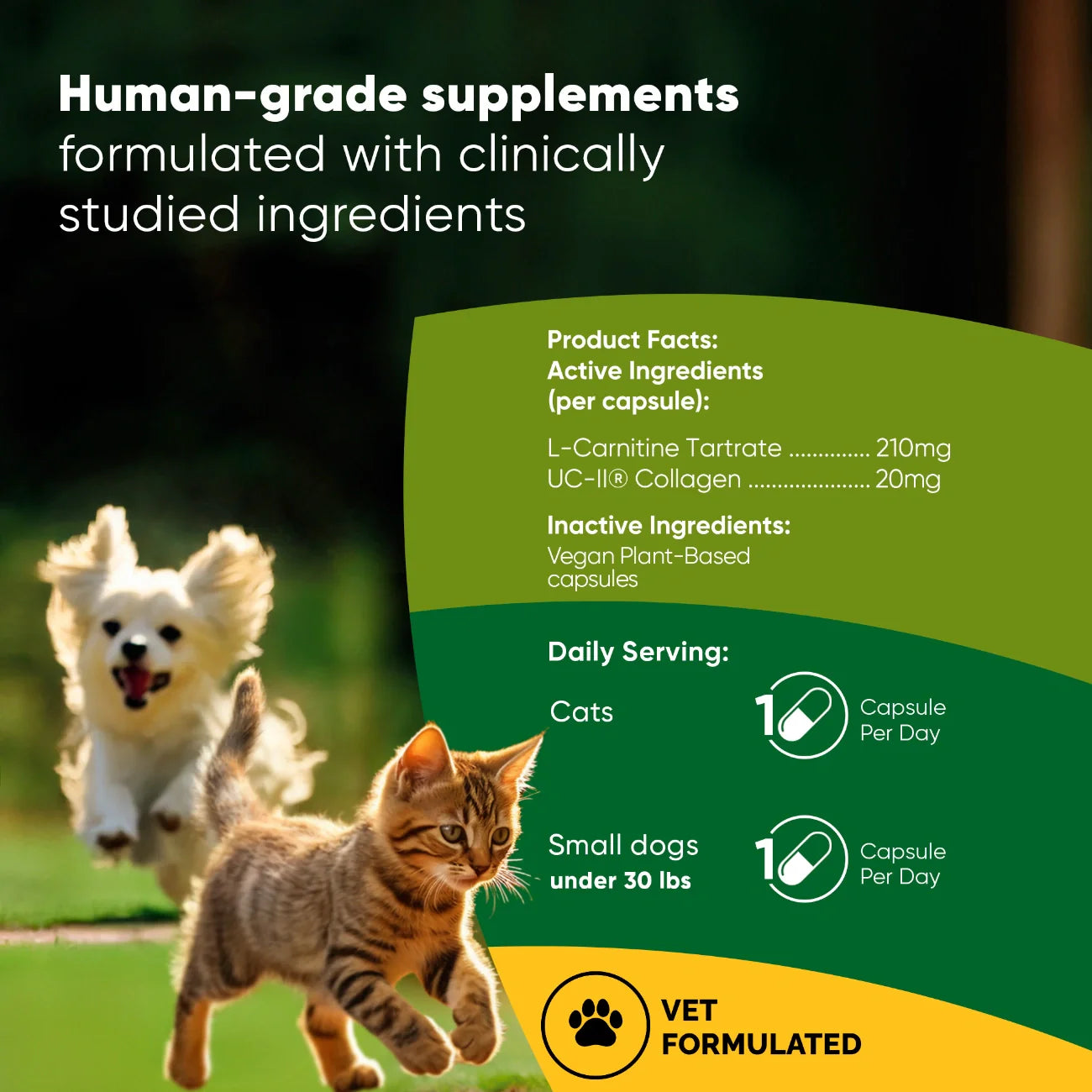 Rooted Owl Pet Supplements joint and muscle health supplement for cats and small dogs, with chewable tablets in a natural setting.