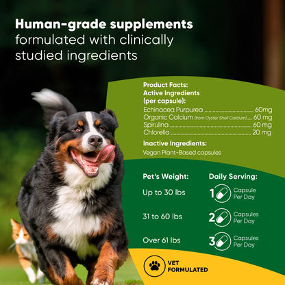 Rooted Owl Pet Supplements Spirulina and Chlorella for cats and dogs, green supplement powder in a jar with fresh greens.