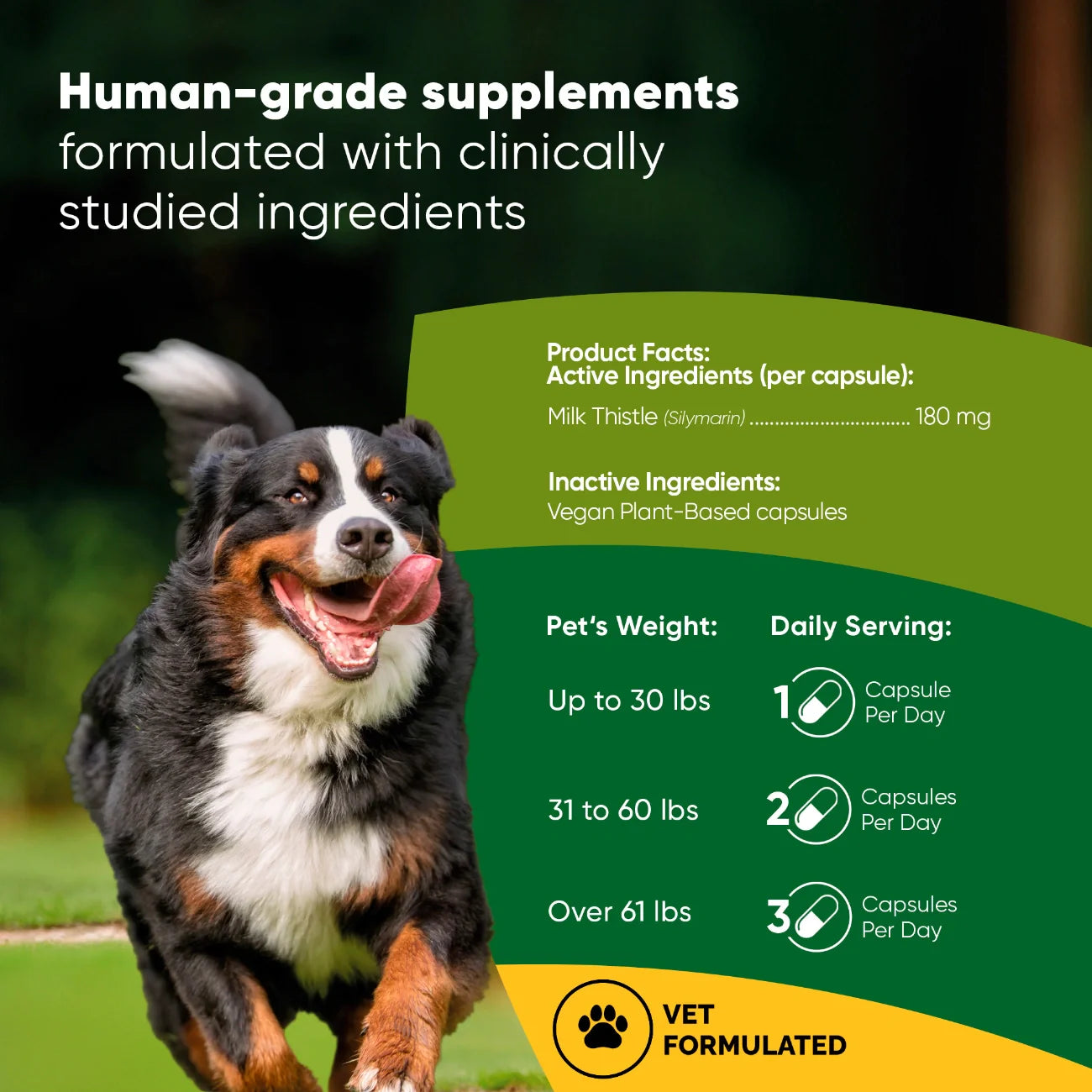 Dog liver support supplement from Rooted Owl Pet Supplements, showing the product bottle with label and natural background.