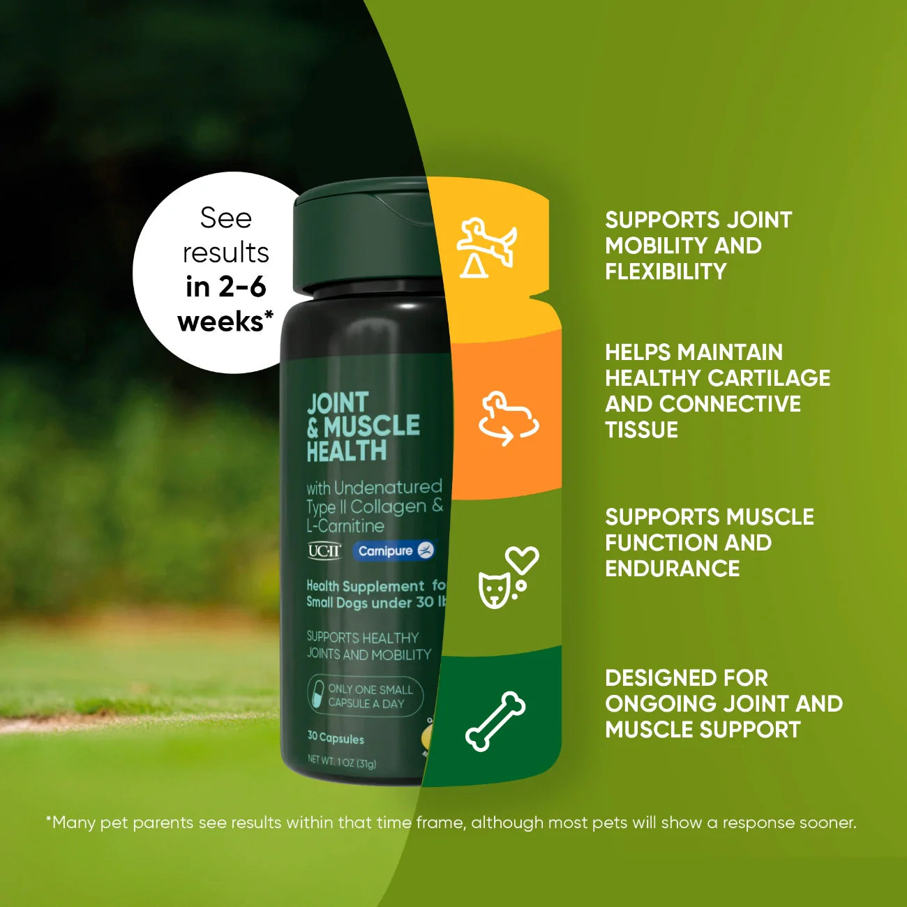Rooted Owl Pet Supplements joint and muscle health supplement for cats and small dogs, featuring natural ingredients in a clear container.