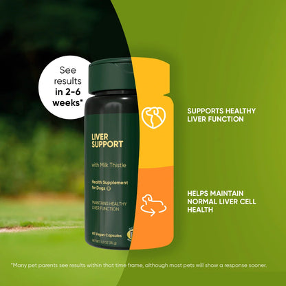 Dog liver support supplement by Rooted Owl Pet Supplements, featuring a bottle with supplements for canine liver health.