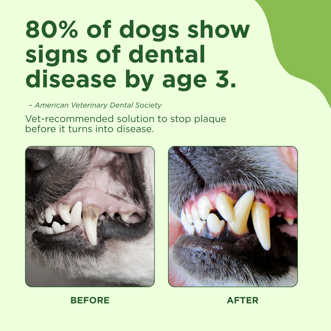 Adore Pet Oral Care Spray for pets, showing a bottle with a spray nozzle and pet-friendly ingredients in a clean, modern setting.