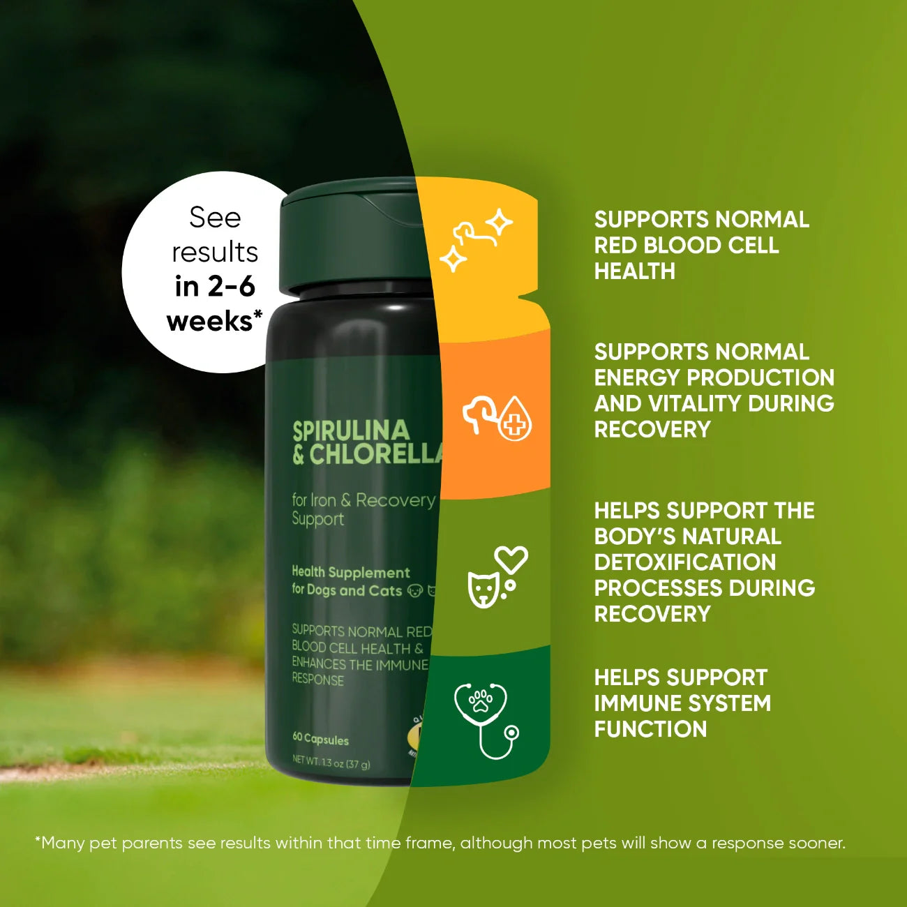 Rooted Owl Pet Supplements Spirulina and Chlorella supplement for cats and dogs, showing green algae powder in a container