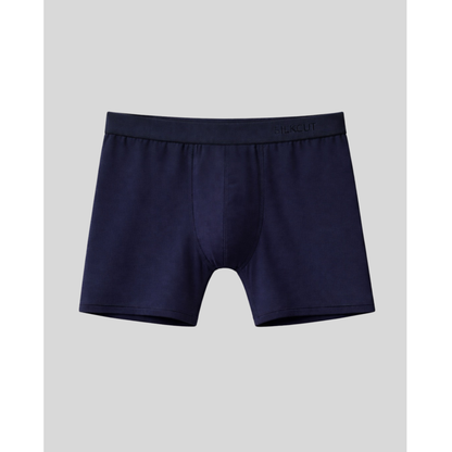 SilkCut Micro Modal Air Boxer Brief