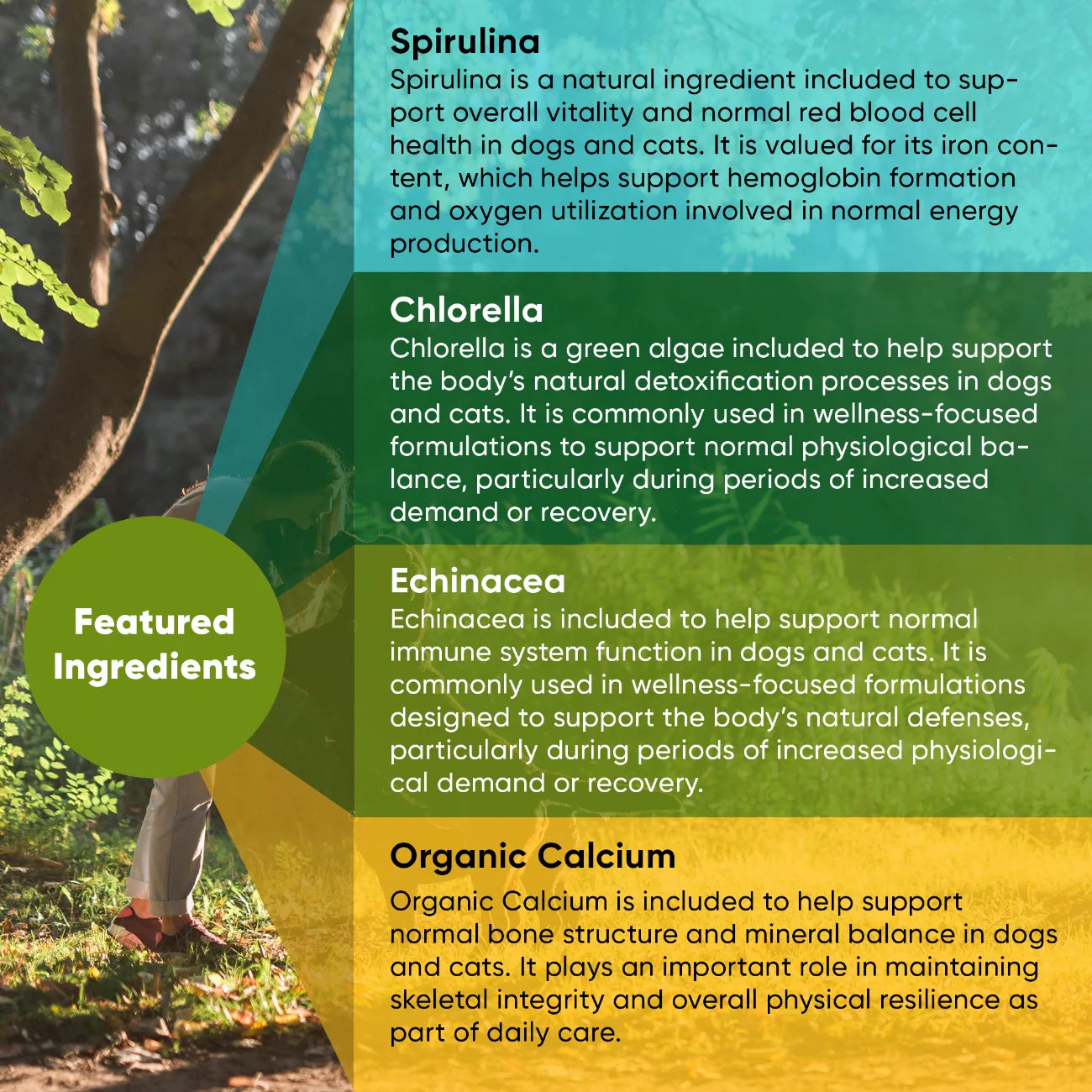 Rooted Owl Pet Supplements Spirulina & Chlorella supplement for cats and dogs, showing the green powder in a glass jar with a scoop.