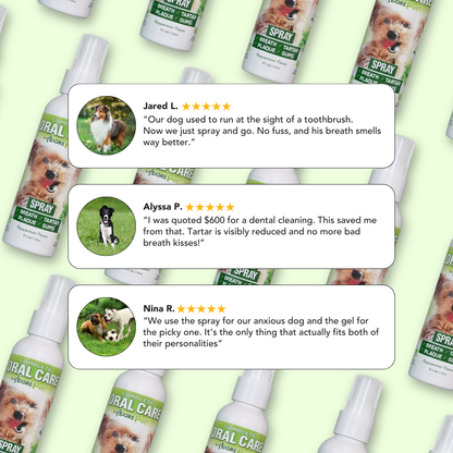 Adore Pet Oral Care Spray for dogs, featuring a bottle with a spray nozzle, designed to freshen breath and promote oral health.