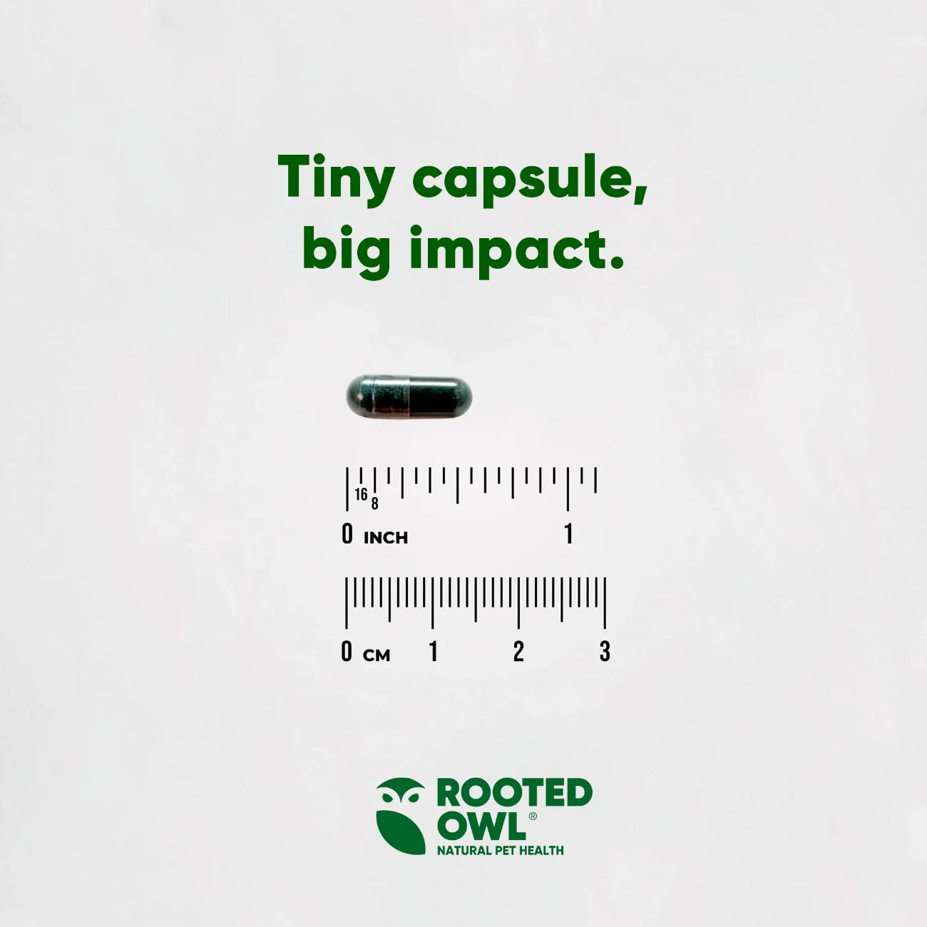 Container of Rooted Owl Pet Supplements Spirulina & Chlorella powder for cats and dogs, showing the green supplement inside.