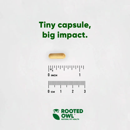 Rooted Owl Pet Supplements' dog liver support supplement bottle, featuring natural ingredients and health benefits for canine liver health.