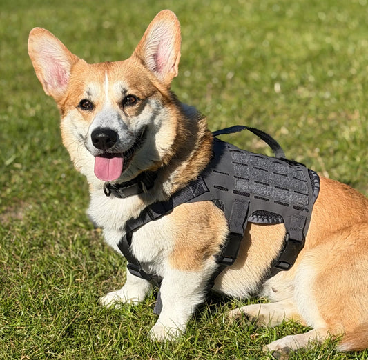 K9R M4 Tactical MOLLE vest for dogs, durable harness with adjustable straps and multiple MOLLE attachment points by kiloninerpets