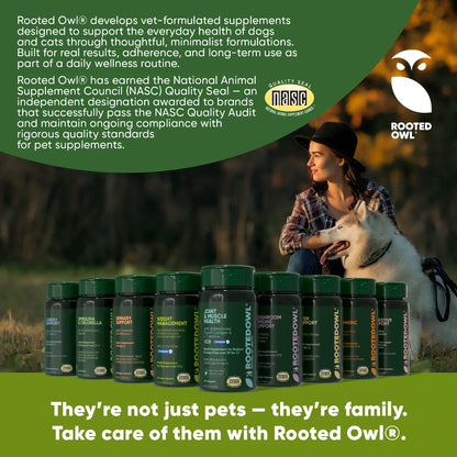 Rooted Owl Pet Supplements Spirulina and Chlorella powder for cats and dogs, showing a close-up of the vibrant green supplement in a container.