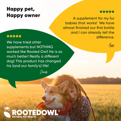 Rooted Owl Pet Supplements joint and muscle health supplement for cats and small dogs, showing the product packaging and capsules.