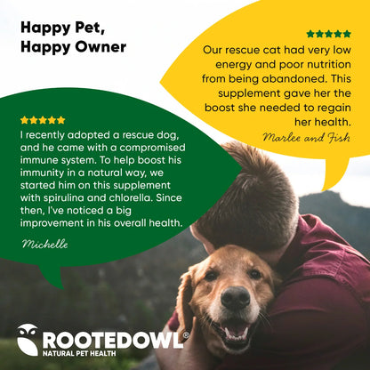 Bottle of Rooted Owl Pet Supplements Spirulina & Chlorella powder for cats and dogs, with fresh green spirulina and chlorella algae visible.