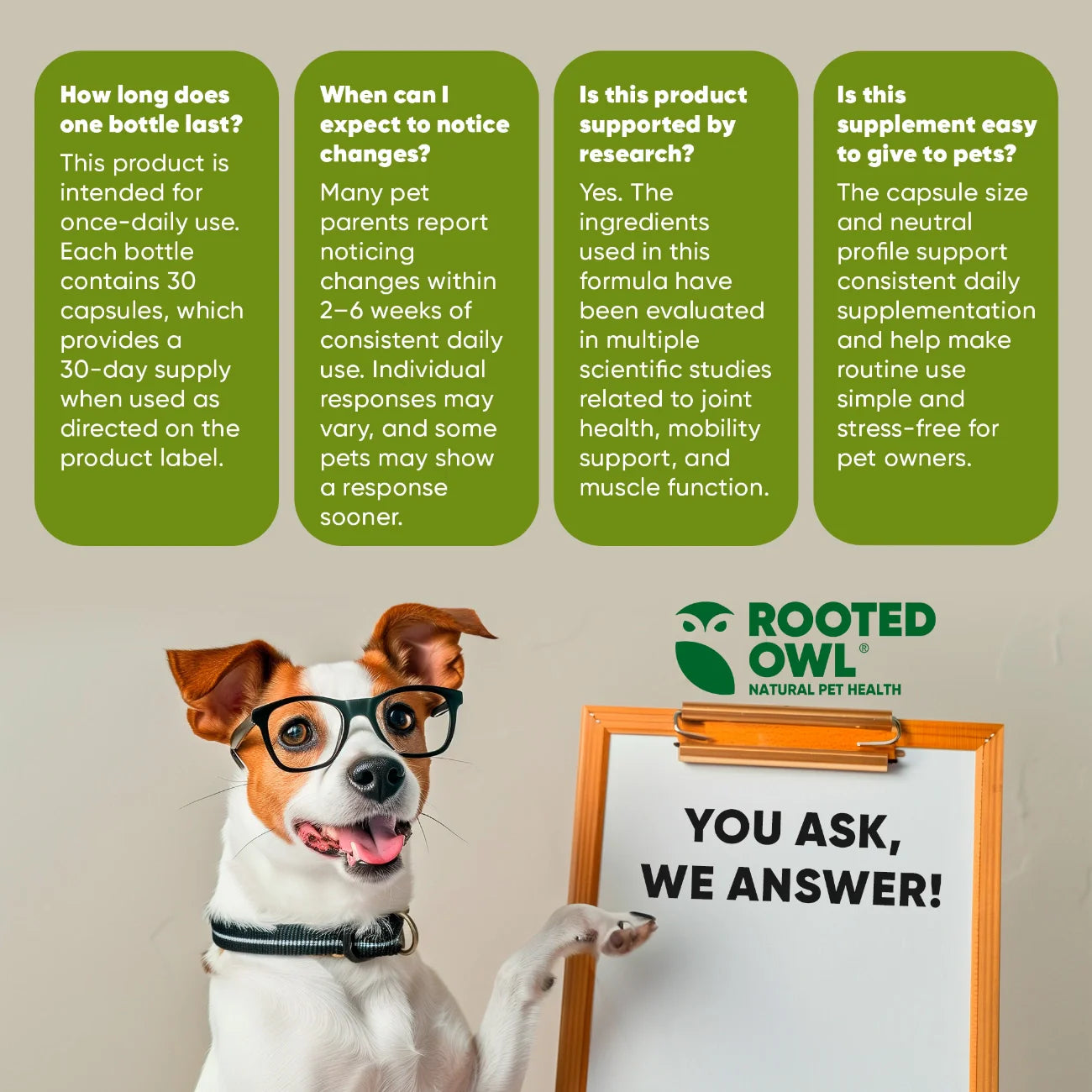 Rooted Owl Pet Supplements joint and muscle health supplement for cats and small dogs, featuring soft chews with natural ingredients.