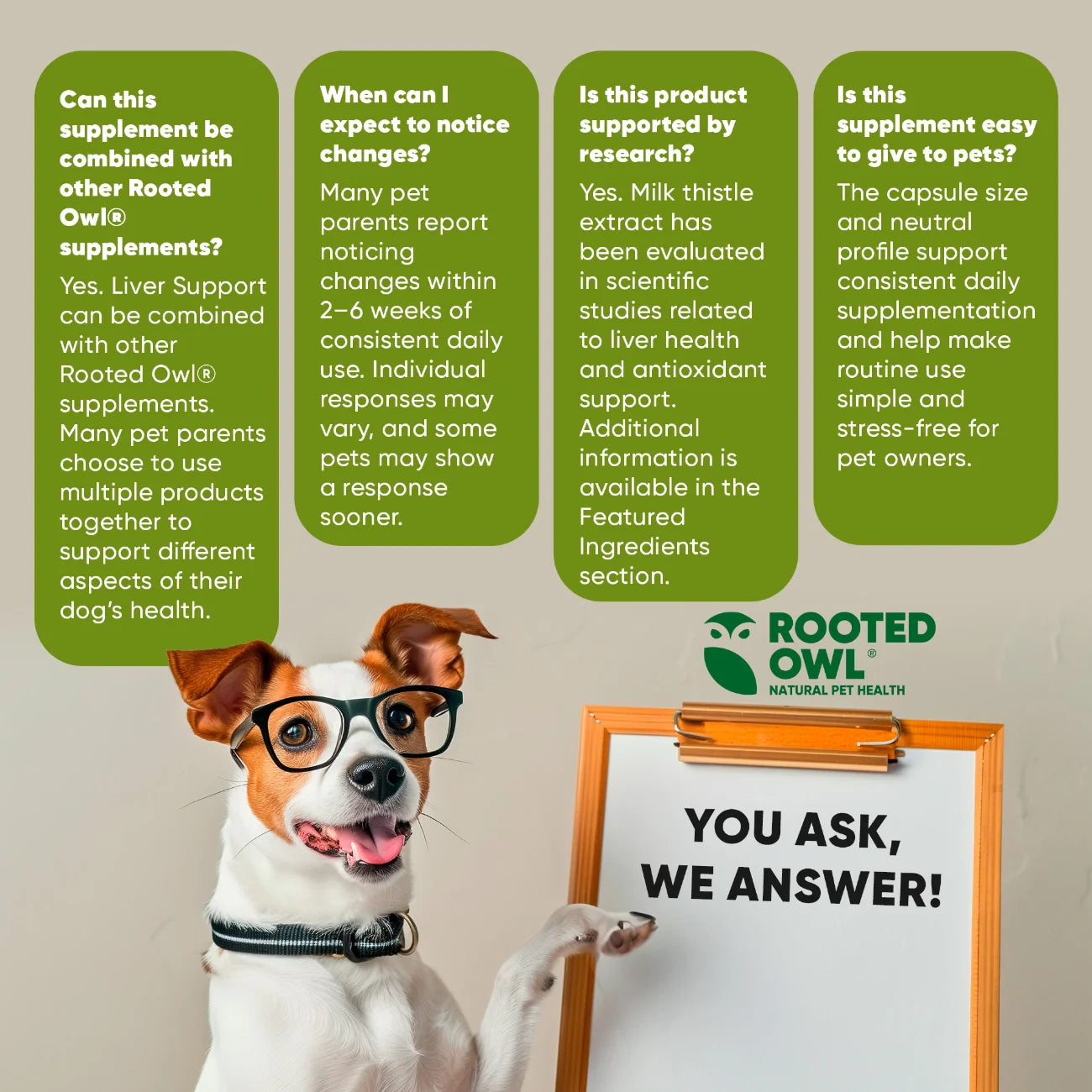 Dog liver support supplement from Rooted Owl Pet Supplements, featuring a bottle of Liver Support for canine health.