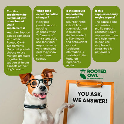 Dog liver support supplement from Rooted Owl Pet Supplements, featuring a bottle of Liver Support for canine health.