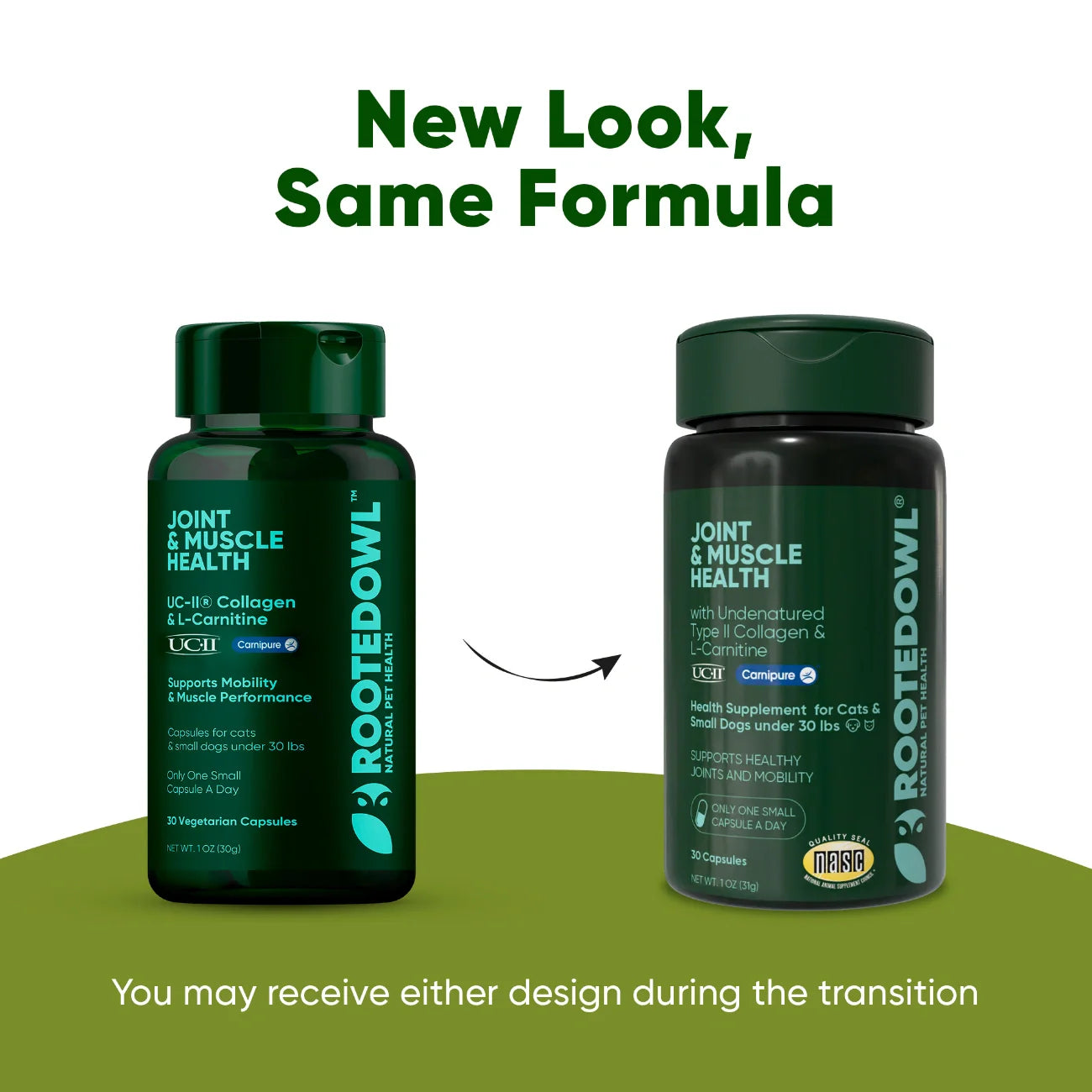 Rooted Owl Pet Supplements joint and muscle health supplement for cats and small dogs, showing the product bottle and packaging.
