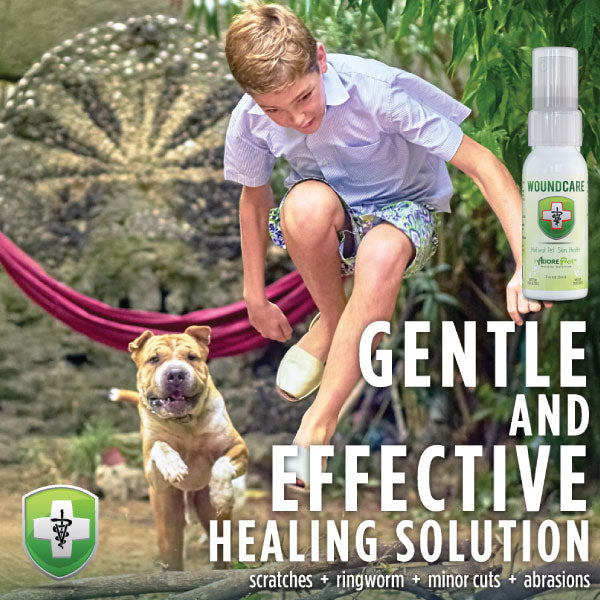 Adore Pet wound care product with bandage and antiseptic solution for pet wound treatment and healing.