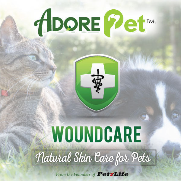 Adore Pet Wound Care kit with antiseptic ointment and bandages for dog and cat wound treatment.