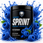 SPRINT