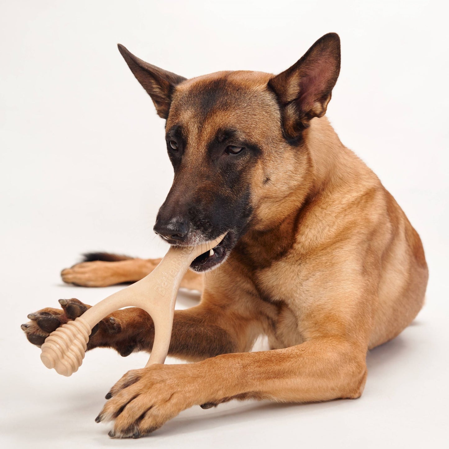 BetterBone Moderate dog chew toy made of natural, eco-friendly material, designed for durable dog play and chewing.