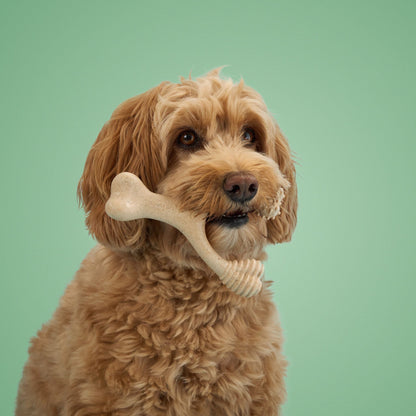 BetterBone Moderate dog chew toy made from eco-friendly, all-natural materials, designed for durable chewing and dental health.