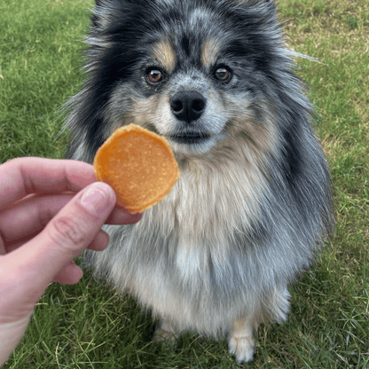 Farm To Pet Chicago Chicken Chips for Dogs