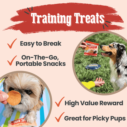 Farm To Pet Turkey Chips Snack Pack Bundle