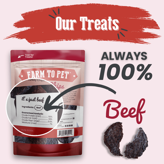 Farm To Pet beef chips dog treats, single-ingredient healthy beef snack chips for dogs in a 4oz bag, showing the beef chips.