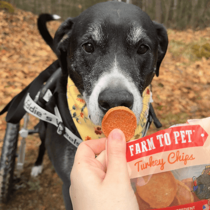 Farm To Pet Turkey Chips Snack Pack Bundle