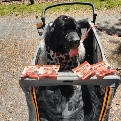 Farm To Pet Turkey Chips Snack Pack Bundle
