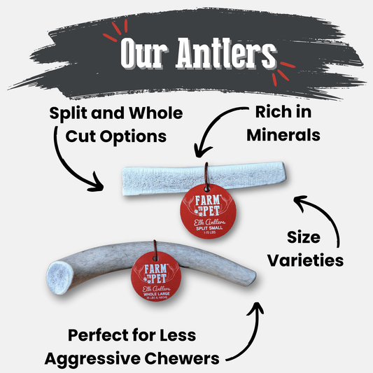 All-natural elk antler dog chew by Farm To Pet, showing a whole and split antler chew for dogs on a neutral background.
