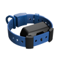 Training Collar Setup