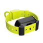 Training Collar Setup