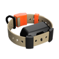 Training Collar Setup