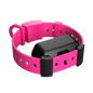 Training Collar Setup
