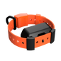 Training Collar Setup