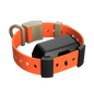 Training Collar Setup