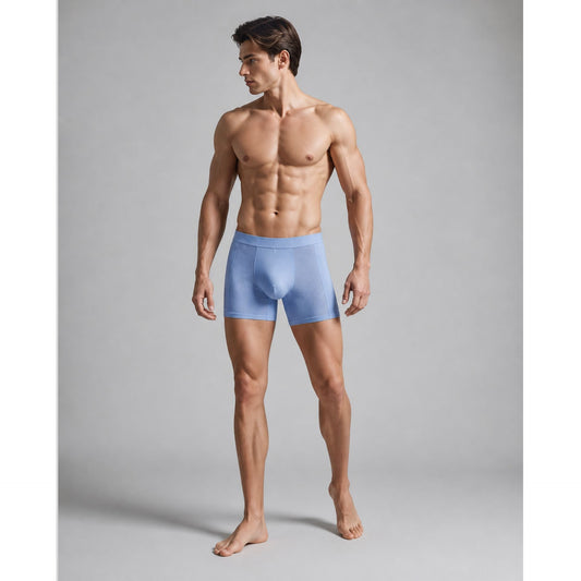 SilkCut Mesh Modal Boxer Brief