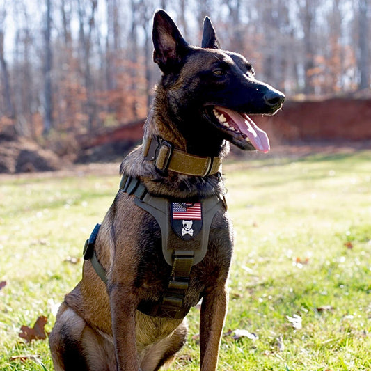 Large K9R M1 LightSpeed harness by kiloninerpets, showing the front view with adjustable straps and durable vest design for dogs.