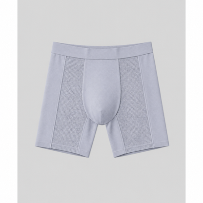SilkCut Mesh Modal Boxer Brief
