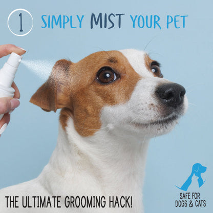 Adore Pet waterless shampoo and conditioner for pets, featuring a bottle with a pump and a clean, fresh background.