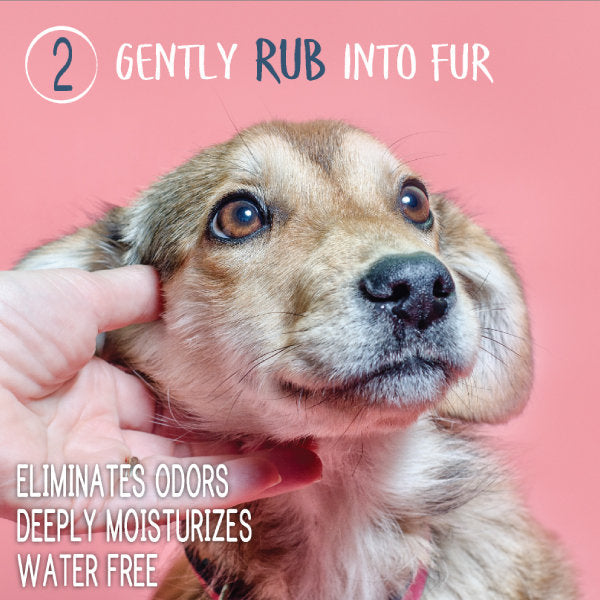 Adore Pet waterless shampoo and conditioner for pets, featuring a bottle with a pump dispenser on a white background.