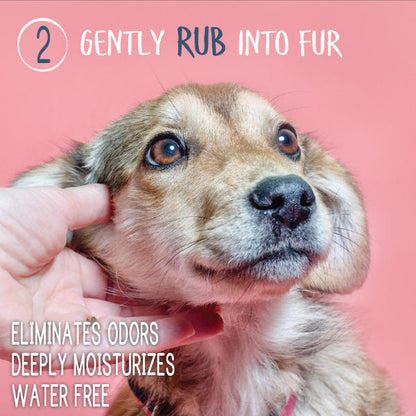 Adore Pet waterless shampoo and conditioner for pets, featuring a bottle with a pump dispenser on a white background.