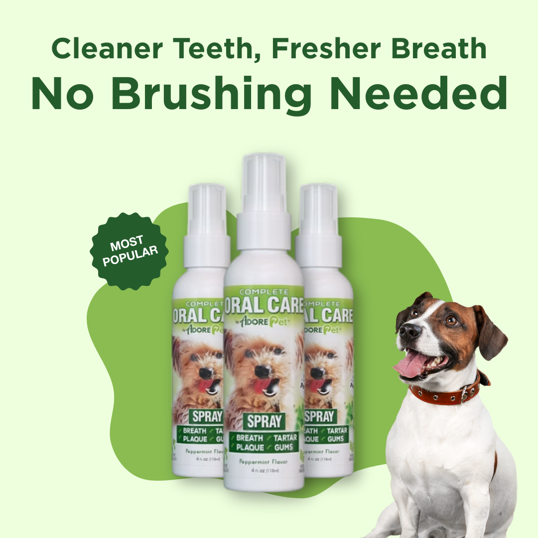 Adore Pet Oral Care Spray for pets, featuring a sleek spray bottle with a nozzle for easy oral hygiene application.