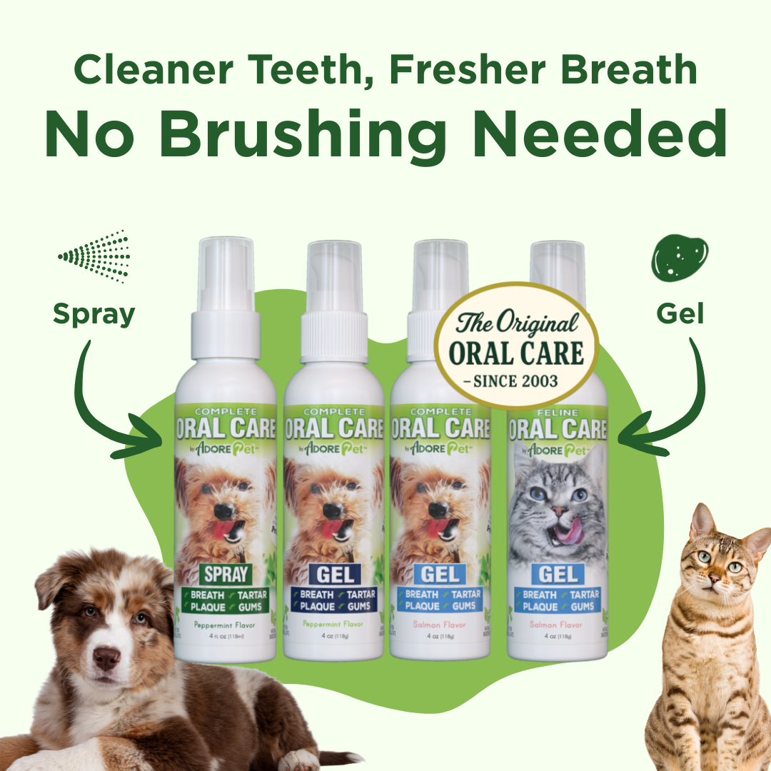 Adore Pet oral care spray bottle with nozzle for freshening pet's breath and dental hygiene.